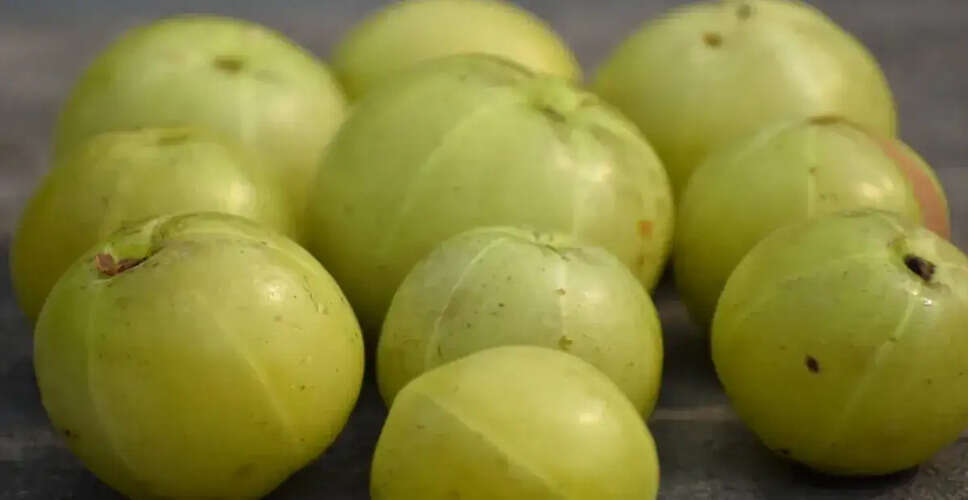 आंवला: सेहत के लिए एक वरदान