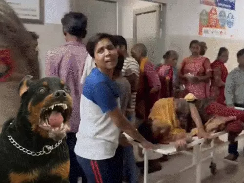 Woman Severely Injured in Rottweiler Attack in Kanpur
