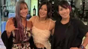 WWE Raw: Asuka's Heel Turn Accelerated Due to Champion's Injury