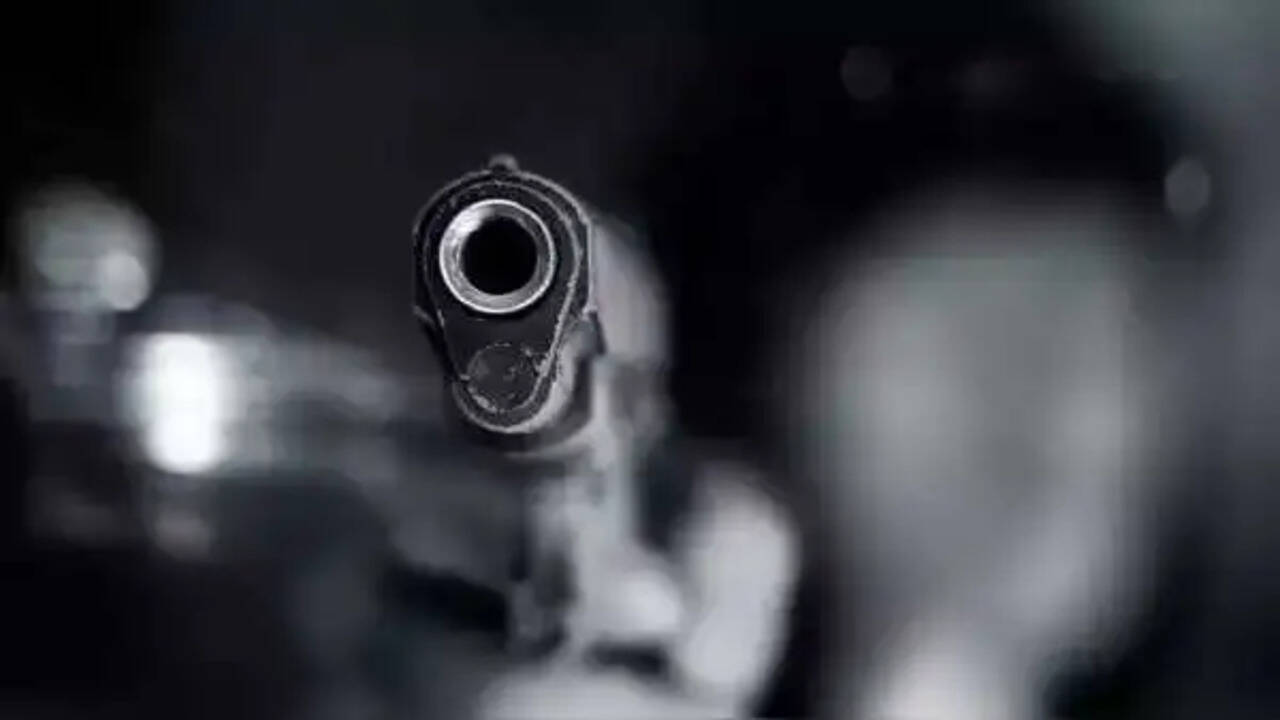 Hyderabad man killed in Philadelphia during fake pizza delivery | Quick Digest