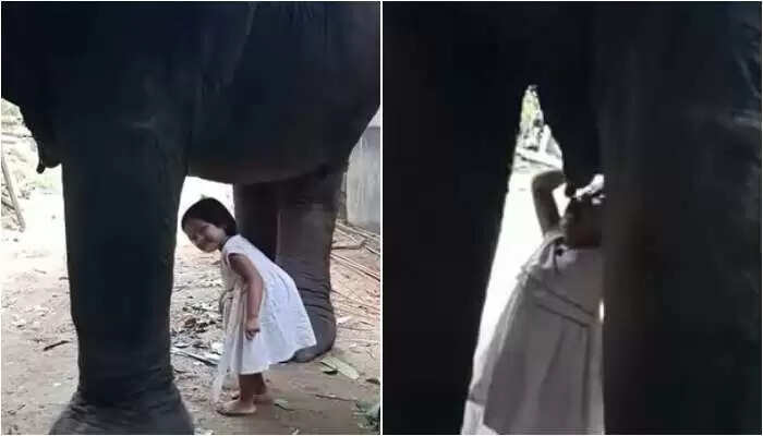 Little Girl Drinks Elephant Milk, Sparks Social Media Buzz