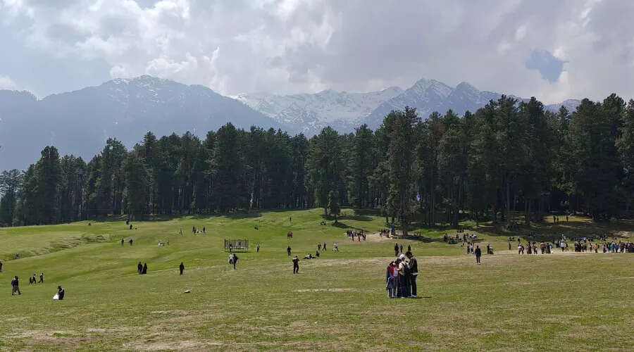 A Year After the Pahalgam Tragedy: Resilience and Remembrance