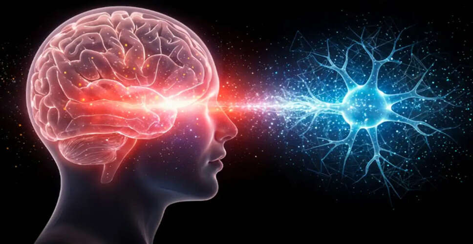 New Research Reveals Brain Efficiency Increases with Age