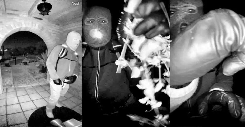 New Developments in Nancy Guthrie Disappearance Investigation