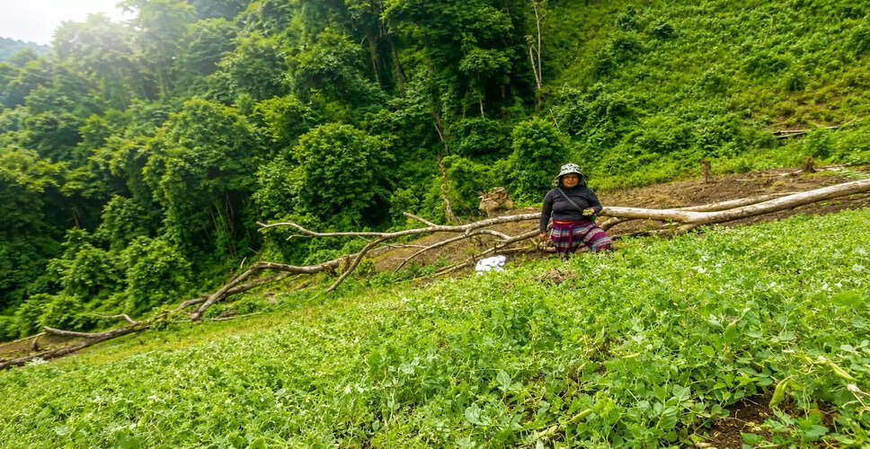 Manipur's Project Hinichi: A Step Towards Sustainable Farming