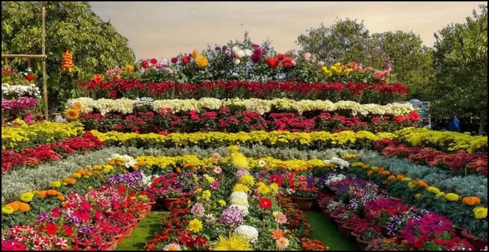 Ahmedabad's Spectacular Flower Festival: A Winter Wonderland
