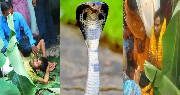 Strange Beliefs: Man Claims to Marry a Shape-Shifting Snake