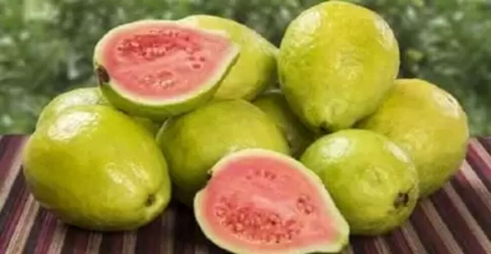 Discover the Health Benefits of Eating Guava Daily