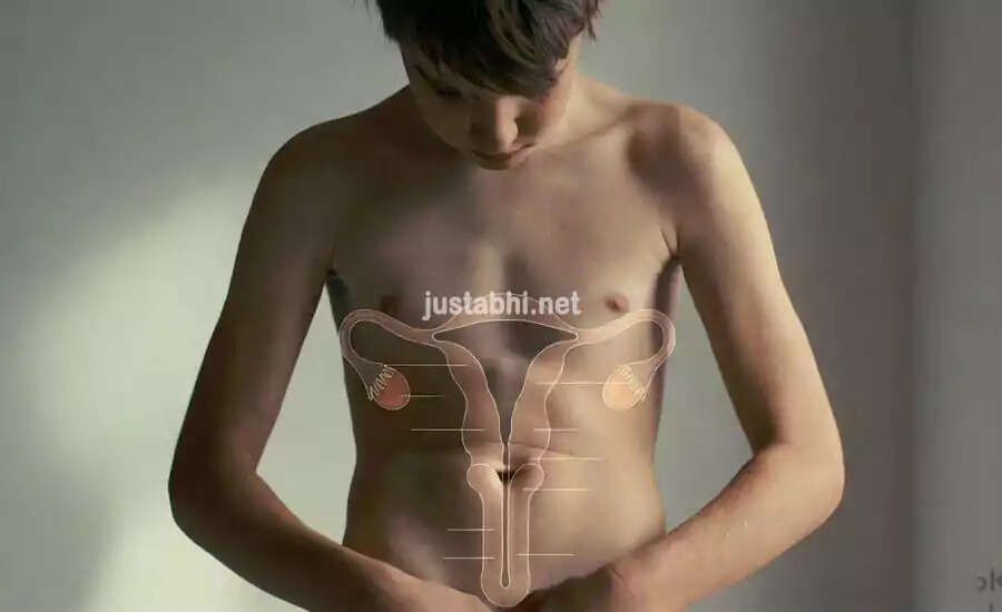 Understanding Male Development: When Does Penis Growth Occur?