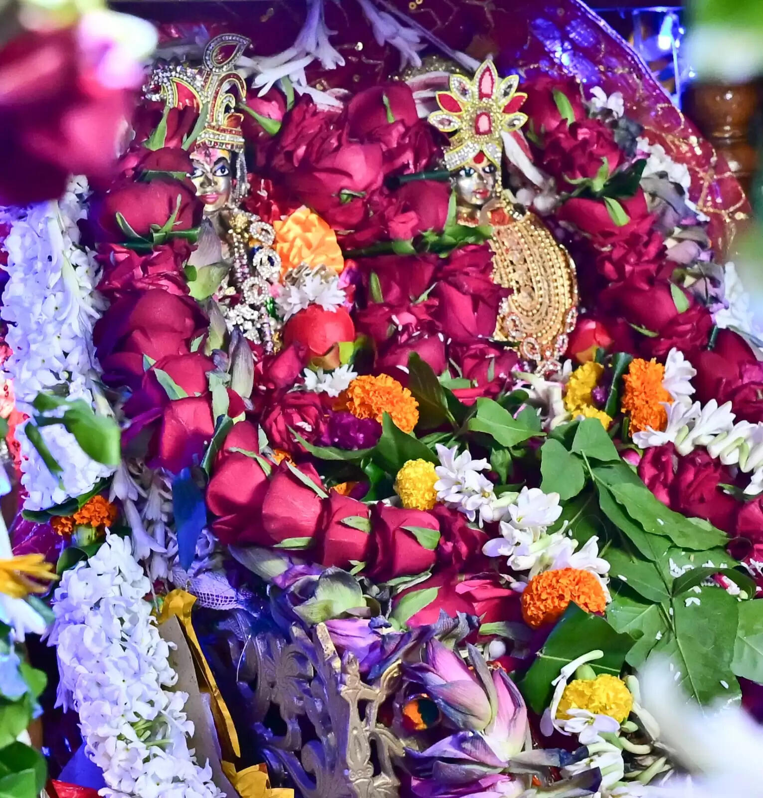 A Spectacular Celebration: Goddess Gauri's Arrival at Bhubaneswar's Lingaraj Temple