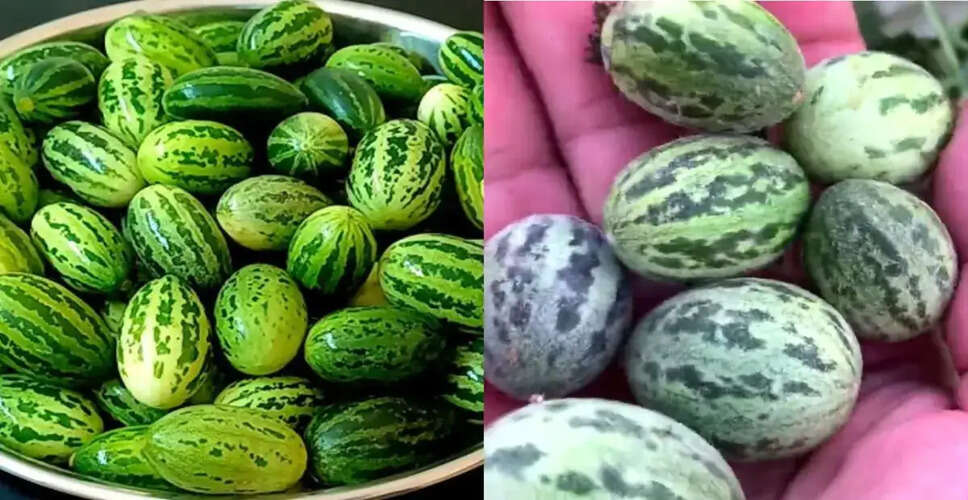 Health Benefits of Eating Kachri Vegetable