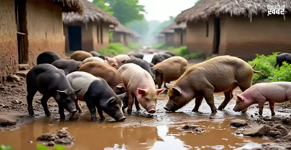 Top 5 Indian States with the Highest Pig Population
