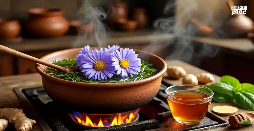 Exploring the Benefits of Ash Fleabane: A Comprehensive Guide