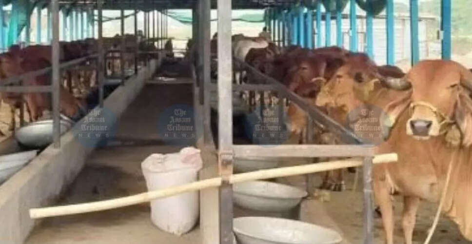 Political Controversy Erupts Over Gorukhuti Agriculture Project