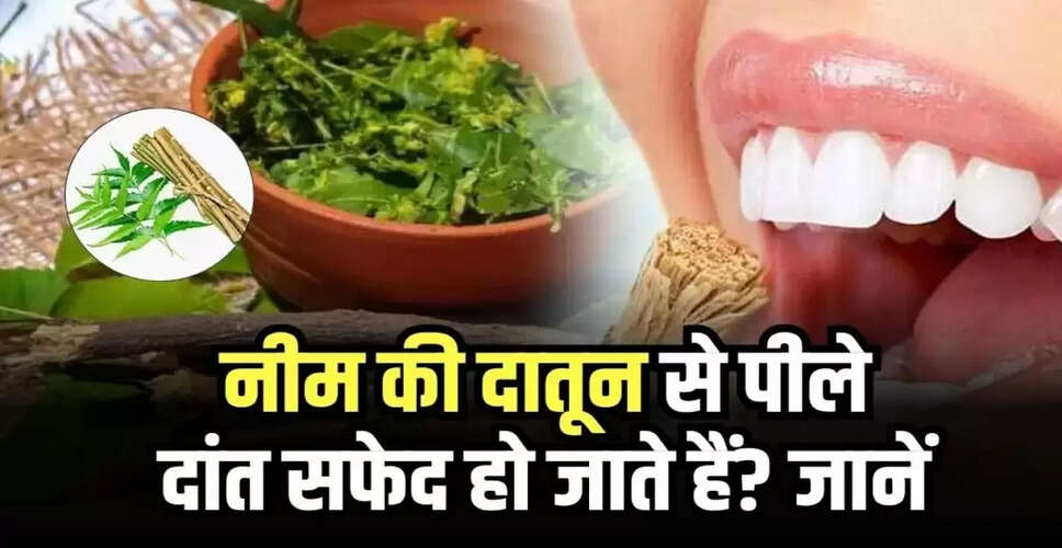 Is Neem Stick Effective for Whitening Yellow Teeth? Insights from a Dental Surgeon
