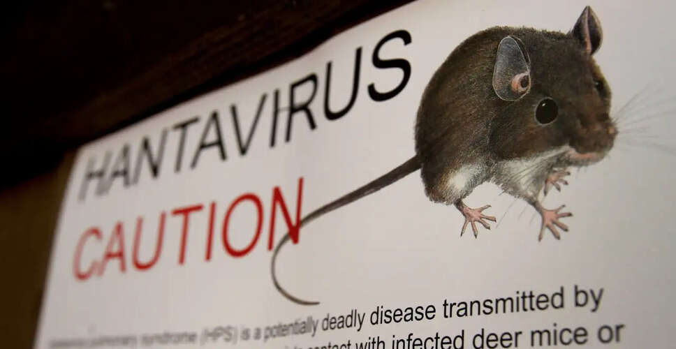 American Passengers from Hantavirus-Affected Cruise Ship Quarantined in Nebraska