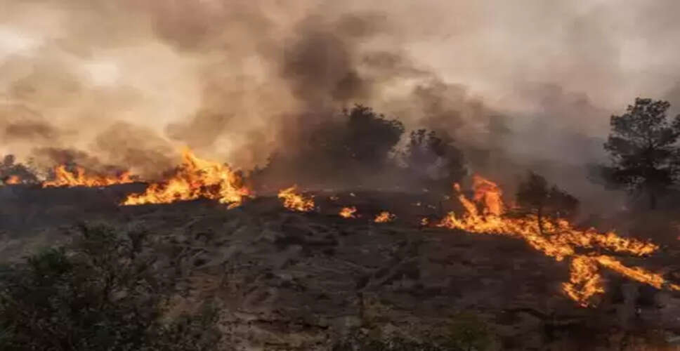 Firefighter dies as forest fire rages in Turkey