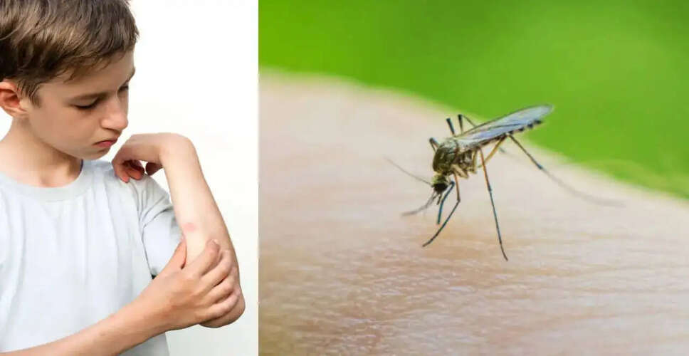 Understanding Why Mosquitoes Prefer Certain People: Insights on Dengue Prevention