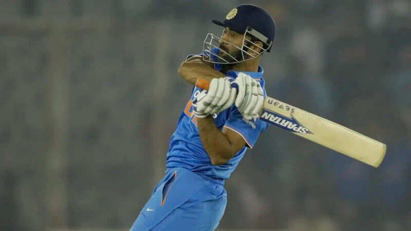 Exploring the Heaviest Cricket Bats in History