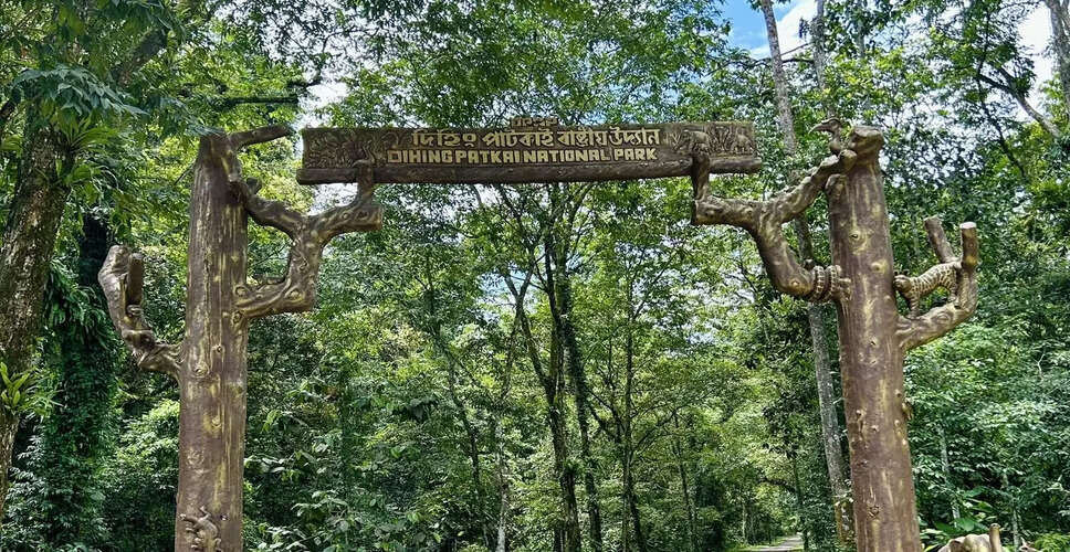 Boundary Disputes Threaten Conservation Efforts in Dehing Patkai National Park