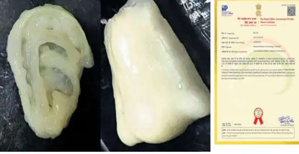 Revolutionary Bio-Ink Developed by NIT Rourkela for 3D Bioprinting