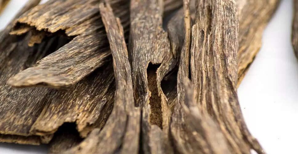 Agarwood Dispute Escalates into Legal Battle in Hojai District