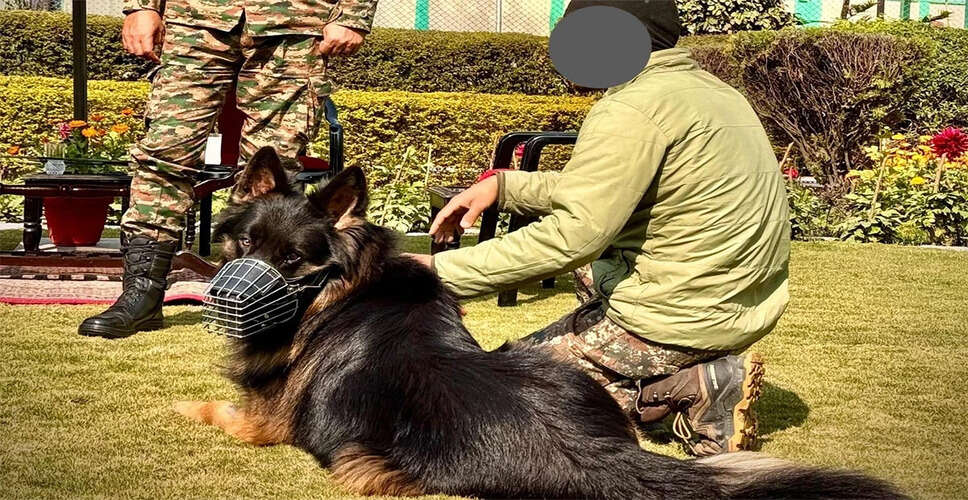 Operation Trashi-1: Indian Forces Achieve Major Success Against Terrorism in Jammu and Kashmir