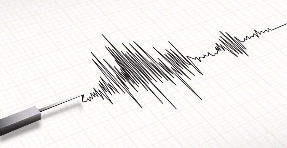 4.6 Magnitude Earthquake Strikes Tehran