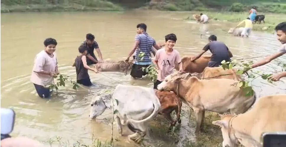 Celebrating Goru Bihu: A Vibrant Tradition in Assam
