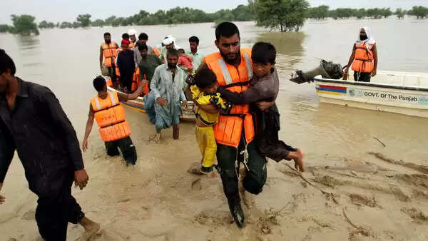 The agriculture sector was destroyed due to floods in Pakistan, and food security is in danger