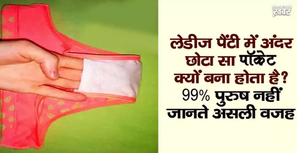 Understanding the Purpose of the Pocket in Women's Underwear