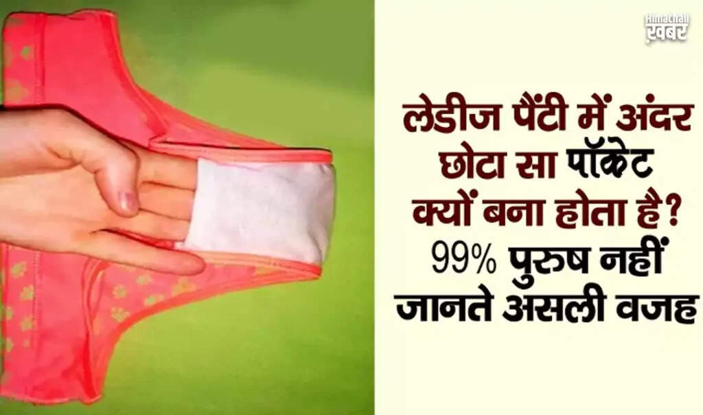 Understanding the Purpose of the Pocket in Women's Underwear