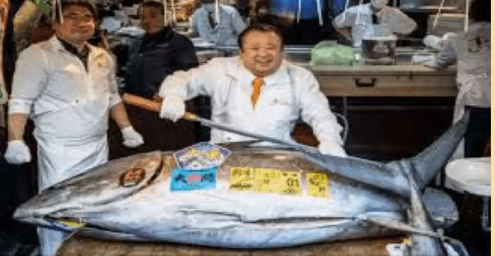 Record-Breaking Bluefin Tuna Auctioned for ₹29 Crore in Japan
