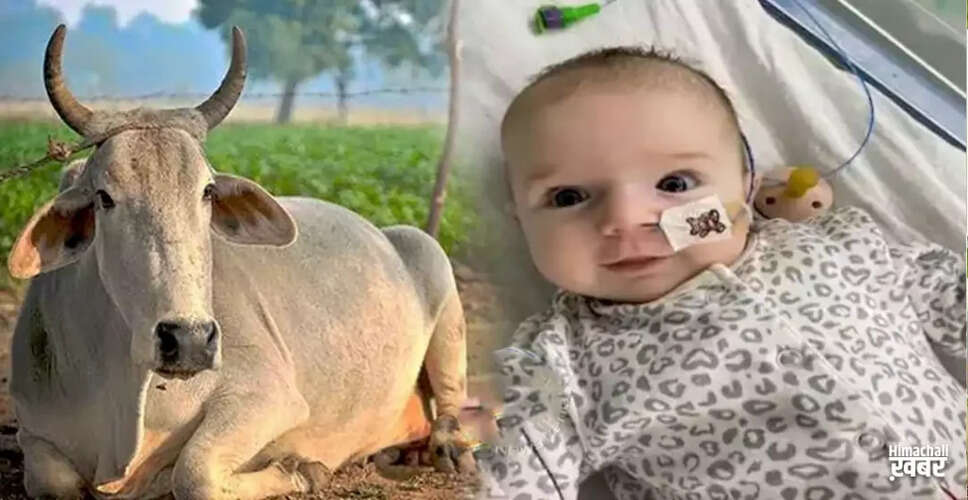 Miraculous Surgery Saves Baby Girl Using Cow Tissue