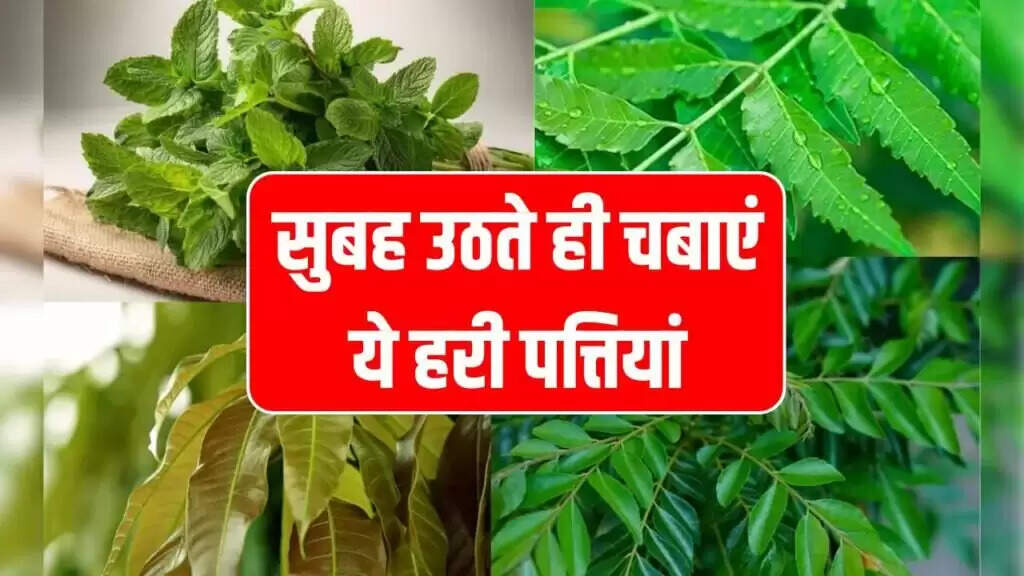 Morning Leafy Greens: A Natural Remedy for Health Issues