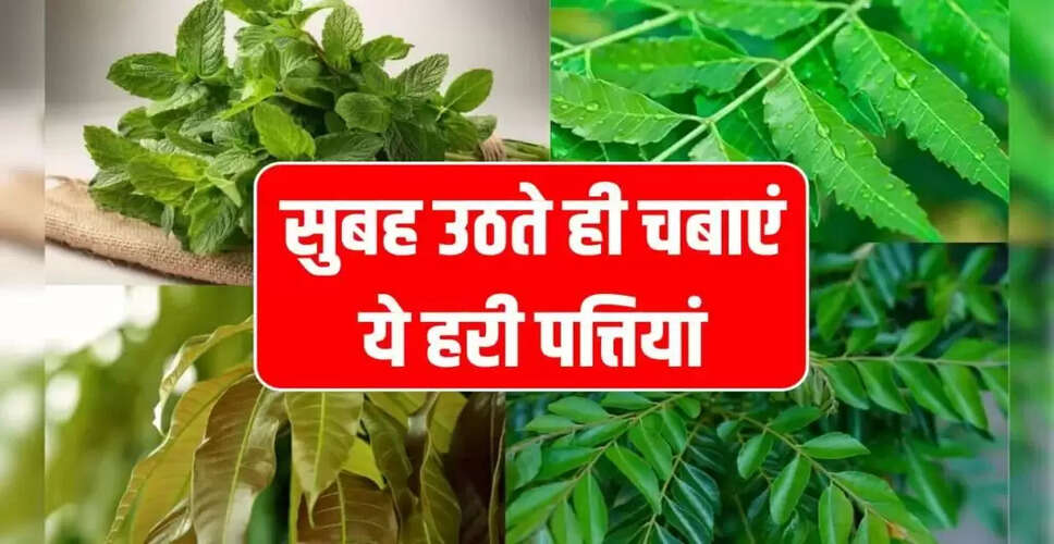 Morning Leafy Greens: A Natural Remedy for Health Issues