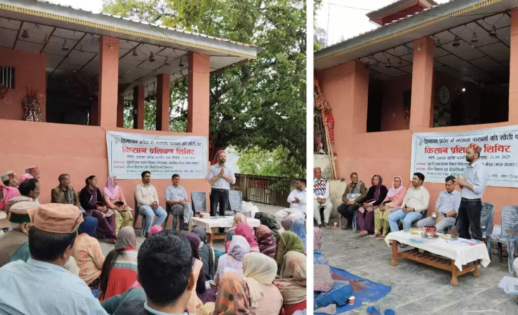 Awareness Camp Boosts Spice Cultivation in Himachal Pradesh