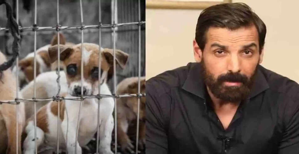 John Abraham Appeals to Chief Justice on Stray Dog Relocation Ruling