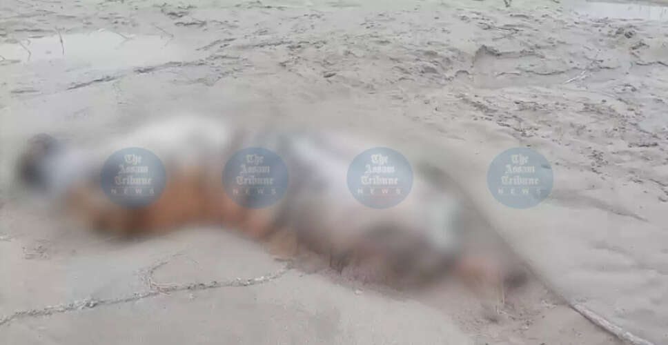 Mutilated Royal Bengal Tiger Carcass Discovered in Assam