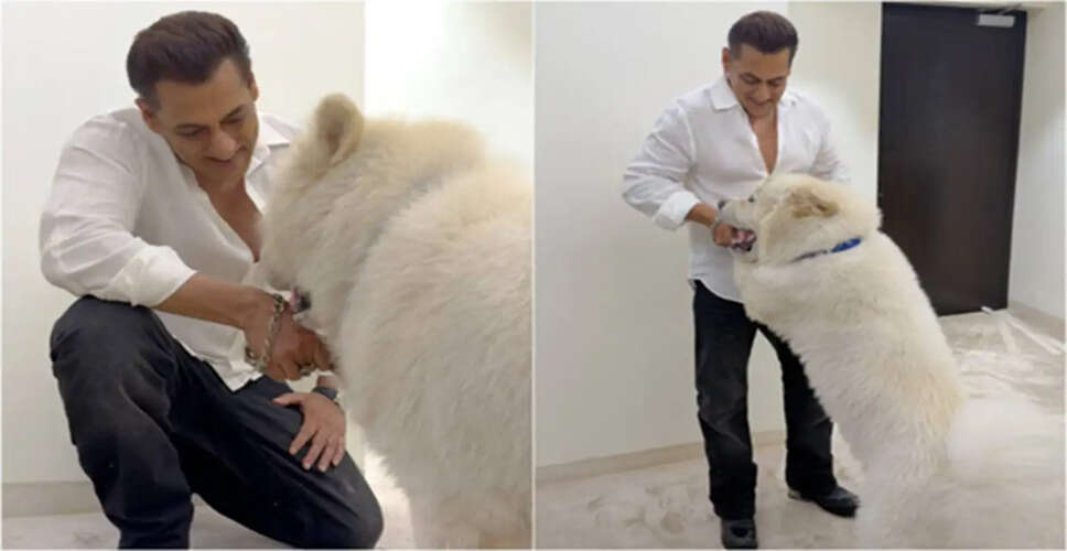 Salman Khan Shares Late-Night Moments Amidst Film Preparations