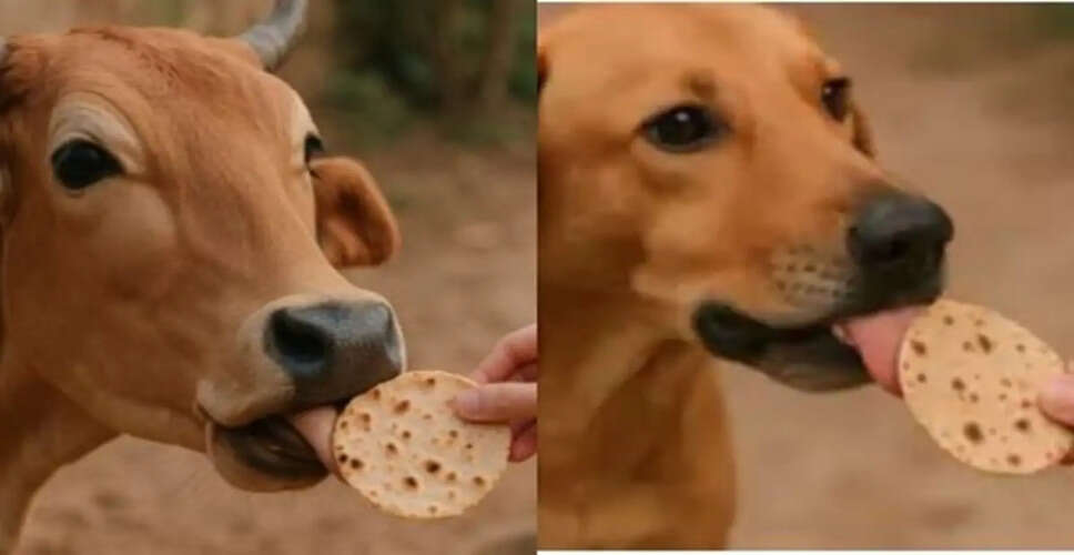 The Significance of Feeding Cows and Dogs in Indian Culture