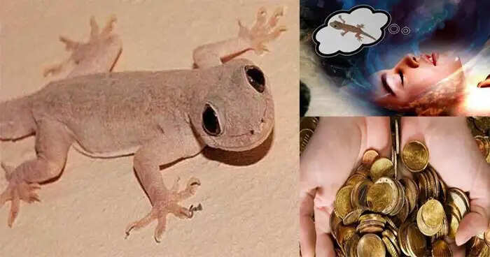 Understanding the Significance of Lizards Falling on Your Body