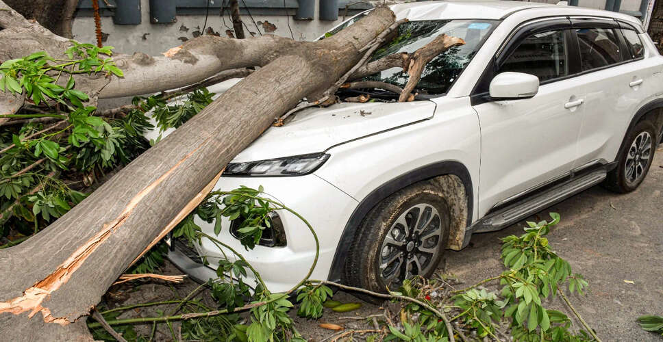 Delhi's Night Rain and Storm Bring Relief and Disruption