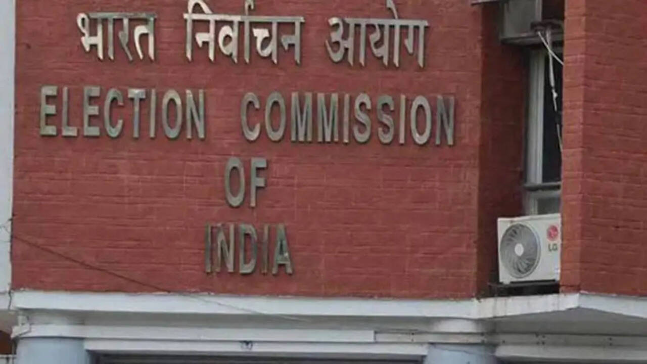 How India's Election System Influenced Trump's Call for Voter ID Laws