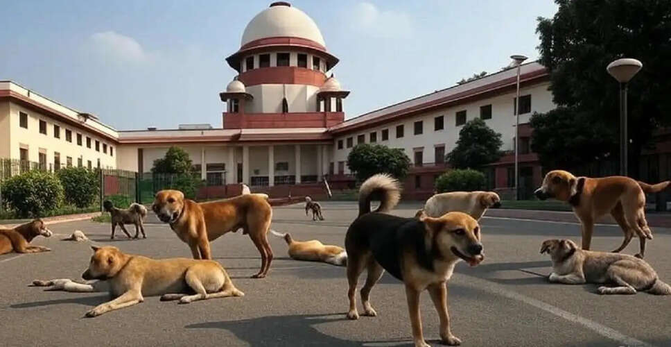 Supreme Court Revisited: Concerns Over Stray Dog Management in India