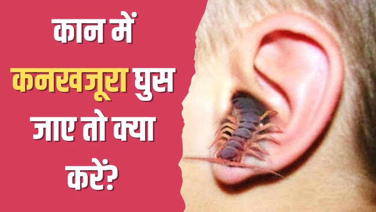 क्या करें अगर कान में कनखजूरा घुस जाए?
