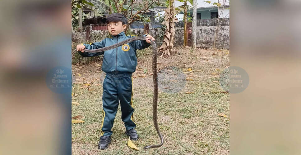Youngest Snake Rescuer in India: Five-Year-Old Raj Saurabh Borkotoky