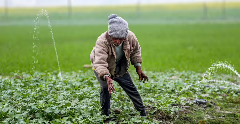 Severe Cold Grips Northern India, Impacting Daily Life and Agriculture