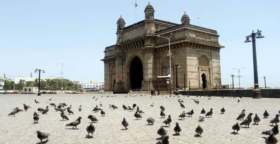 Bombay High Court Orders Action Against Feeding Pigeons in Mumbai