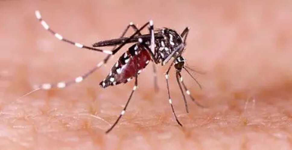 Tamil Nadu Sees Highest Dengue Cases in 2025 with Low Mortality Rate